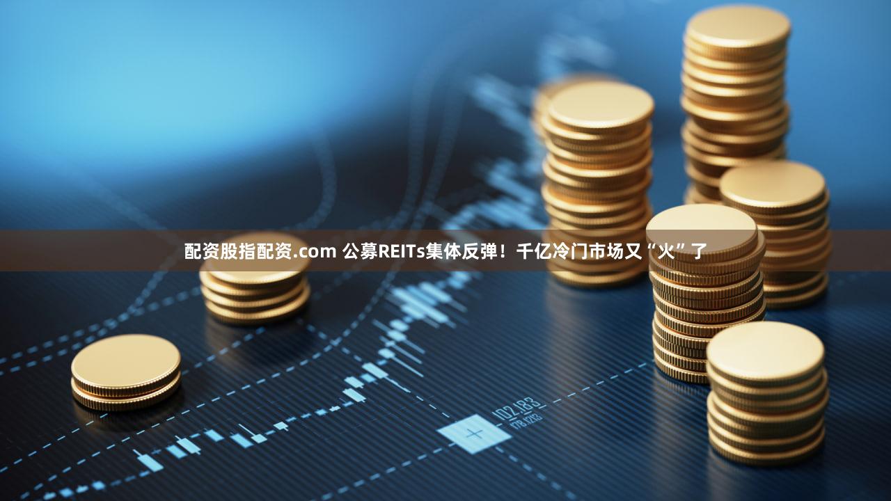 配资股指配资.com 公募REITs集体反弹！千亿冷门市场又“火”了