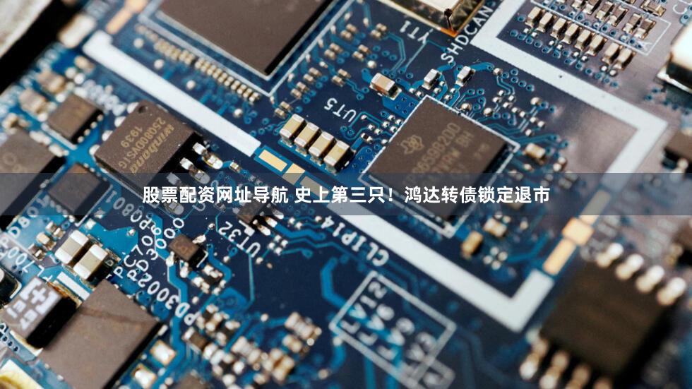 股票配资网址导航 史上第三只!鸿达转债锁定退市