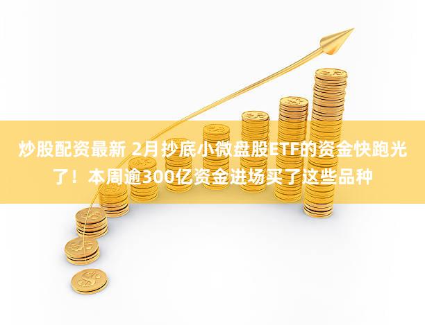 炒股配资最新 2月抄底小微盘股ETF的资金快跑光了！本周逾300亿资金进场买了这些品种