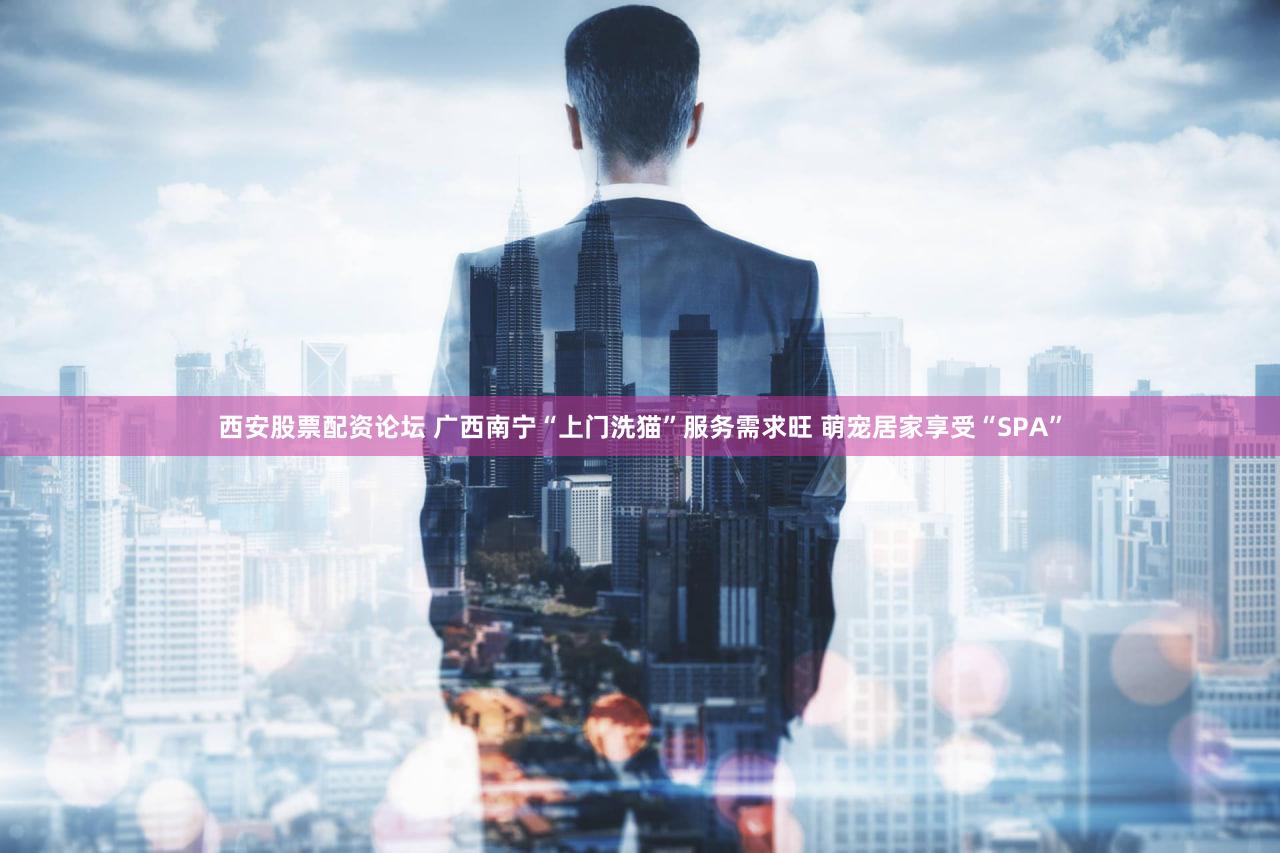西安股票配资论坛 广西南宁“上门洗猫”服务需求旺 萌宠居家享受“SPA”