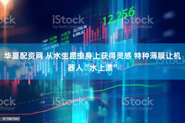 华夏配资网 从水生昆虫身上获得灵感 特种薄膜让机器人“水上漂”